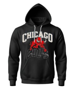 DTG / DTF Print On Demand Hoodie Front Chicago Bull (1)
