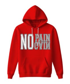 DTG / DTF Print On Demand Hoodie Front No Pain No Gain (1)