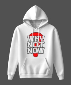 DTG / DTF Print On Demand Hoodie Front Why Not Now