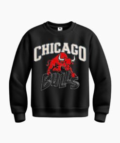 DTG / DTF Print On Demand Sweatshirt Chicago Bull (1)