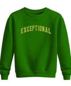 DTG / DTF Print On Demand Sweatshirt Exceptional