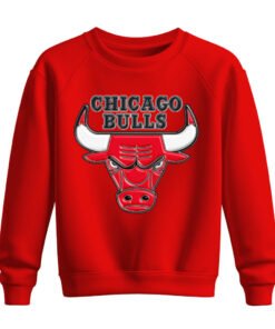 DTG / DTF Print On Demand Sweatshirt Chicago Bull (2)