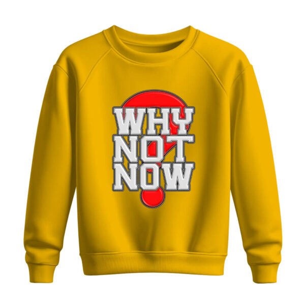 DTG / DTF Print On Demand Sweatshirt Why Not Now