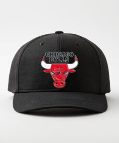 DTG / DTF Print On Demand Cap Chicago Bull (2)